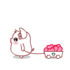Cutepig10
