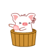 Cutepig28