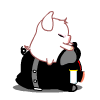 Cutepig38