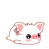 Cutepig40