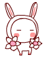 Cute Rabbit46
